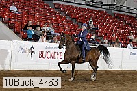 10buck_4763 proof