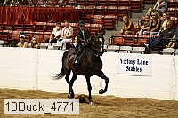 10buck_4771 proof