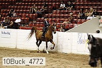 10buck_4772 proof