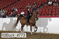 10buck_4773 proof