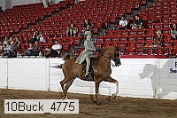 10buck_4775 proof