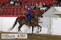 10buck_4781 proof
