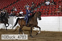10buck_4783 proof