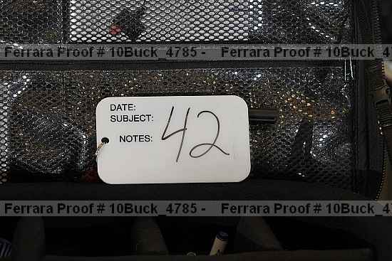 Proof 10buck_4785