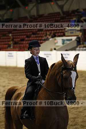 Proof 10buck_4800
