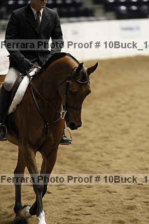 Proof 10buck_1486