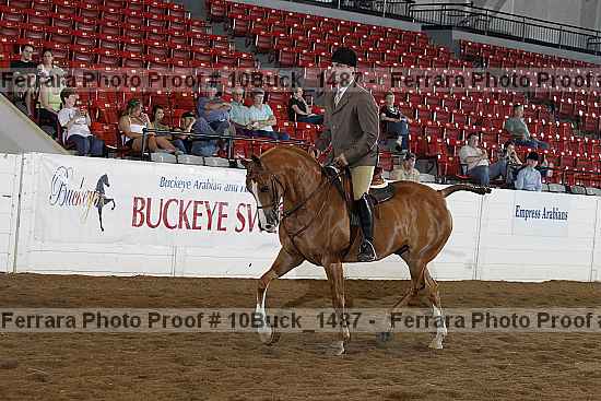 Proof 10buck_1487