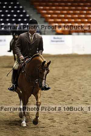 Proof 10buck_1488