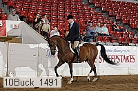 10buck_1491 proof