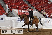 10buck_1497 proof