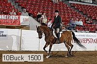 10buck_1500 proof