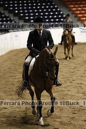 Proof 10buck_1501