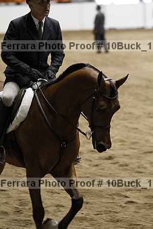 Proof 10buck_1502