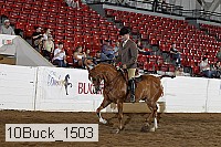 10buck_1503 proof