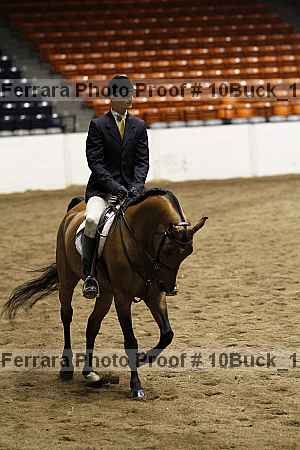 Proof 10buck_1505
