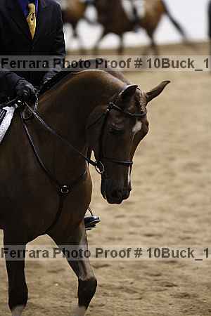 Proof 10buck_1509