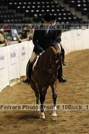 Proof 10buck_1511