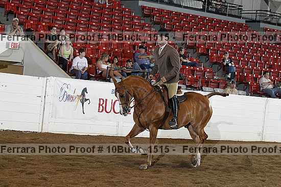 Proof 10buck_1515