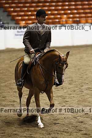 Proof 10buck_1516
