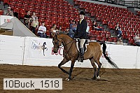 10buck_1518 proof