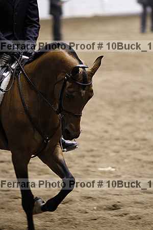 Proof 10buck_1519