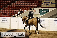 10buck_1520 proof