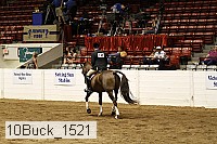 10buck_1521 proof