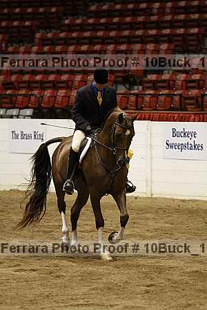 Proof 10buck_1523