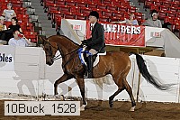 10buck_1528 proof