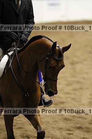 Proof 10buck_1529