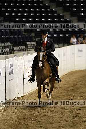 Proof 10buck_1531