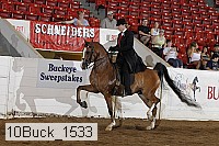 10buck_1533 proof