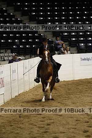 Proof 10buck_1535