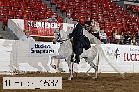 10buck_1537 proof