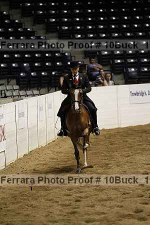 Proof 10buck_1538