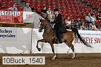 10buck_1540 proof