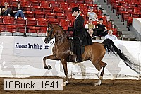 10buck_1541 proof