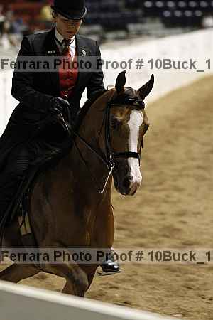 Proof 10buck_1542