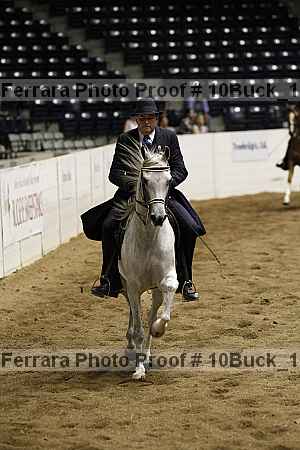 Proof 10buck_1545