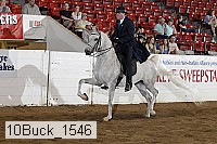 10buck_1546 proof