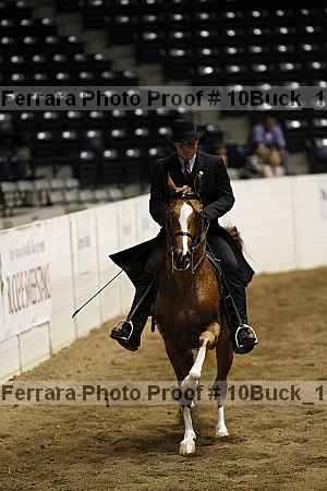 Proof 10buck_1547