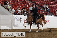10buck_1548 proof