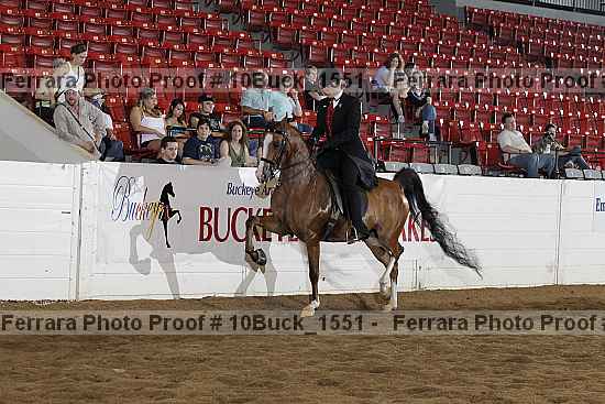 Proof 10buck_1551