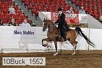 10buck_1552 proof