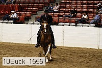 10buck_1555 proof