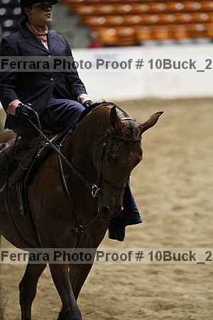 Proof 10buck_2006