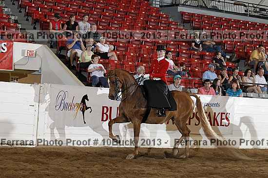 Proof 10buck_2013