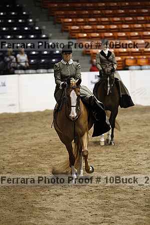 Proof 10buck_2015