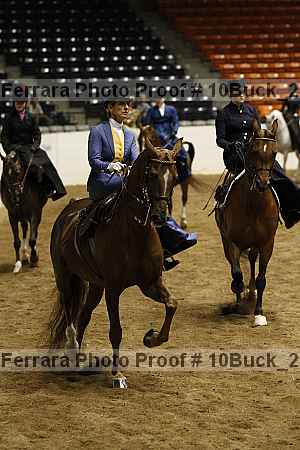 Proof 10buck_2028