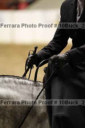 Proof 10buck_2032